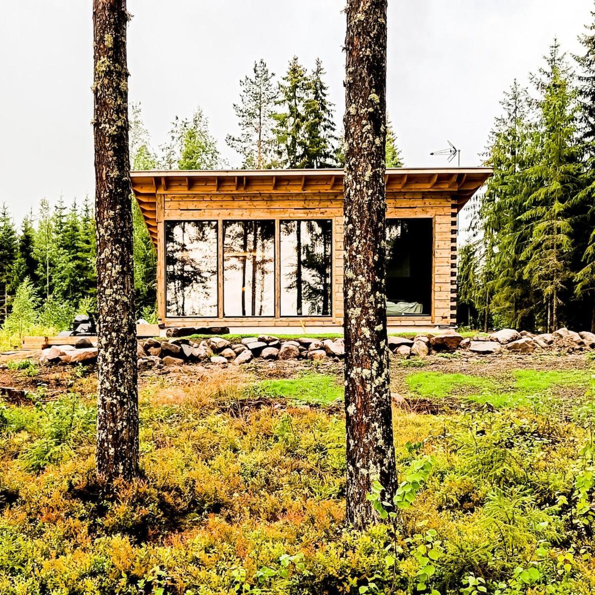 Villa Kokkoranta - Lake House With The View タンペレ エクステリア 写真